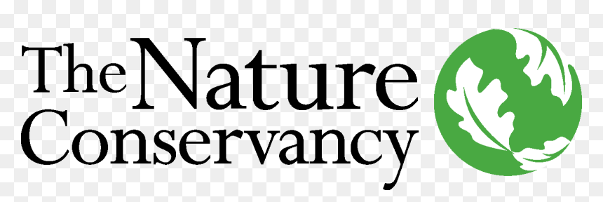 Client Brand